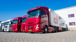 20260321-Daemen-00211